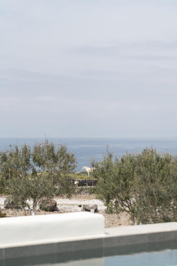 Saint John Oia-Villas With Private Heated Pool Экстерьер фото